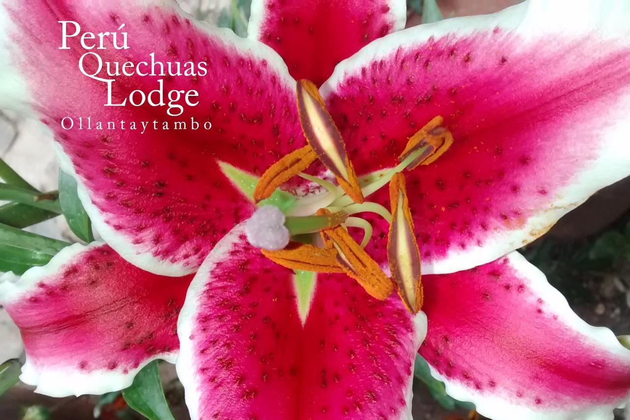 Peru Quechua'S Lodge 오얀따이땀보 외부 사진
